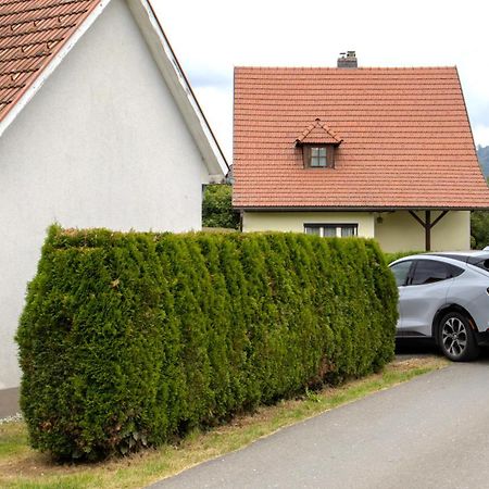 Flat Bull Appartement Mit Garten Sankt Lorenzen bei Knittelfeld Esterno foto